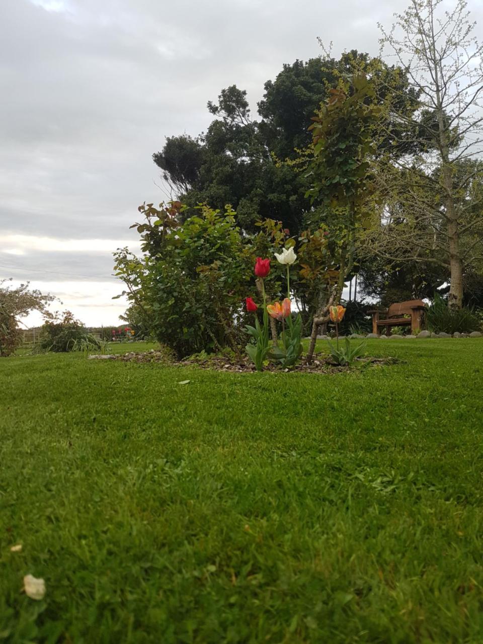 Lancewood Lodge Bulls Buitenkant foto